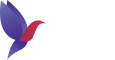 SINERGY CONSULTING