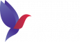 SINERGY CONSULTING